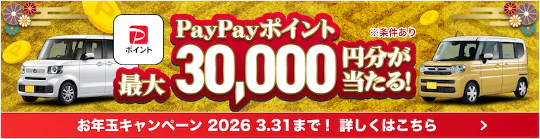 最大3万円が当たる！お年玉キャンペーン2026